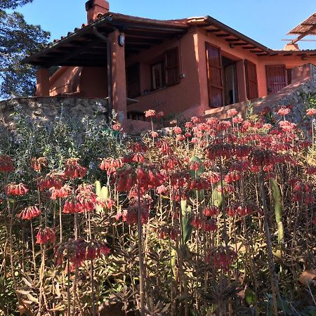 مبيت وإفطار جزيرة غيانوتري Casa Diana المظهر الخارجي الصورة