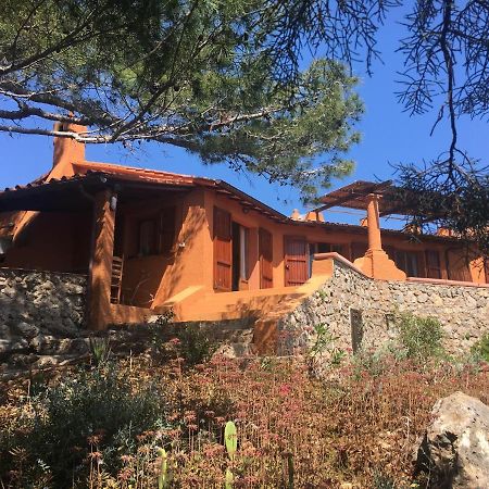 مبيت وإفطار جزيرة غيانوتري Casa Diana المظهر الخارجي الصورة