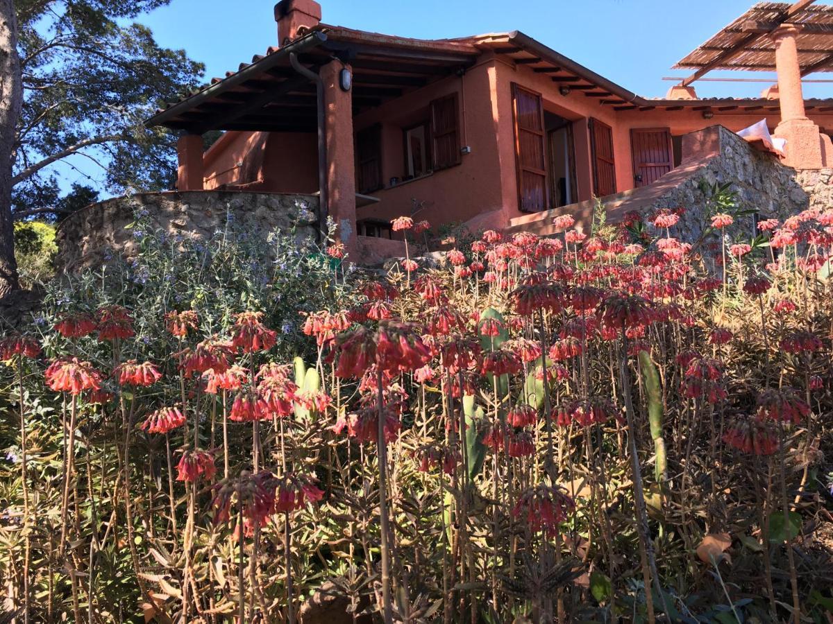 مبيت وإفطار جزيرة غيانوتري Casa Diana المظهر الخارجي الصورة